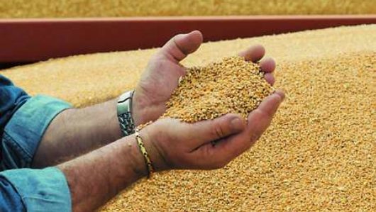 Improved revenue opportunities min