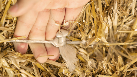 Picture feature6 LB436 HD