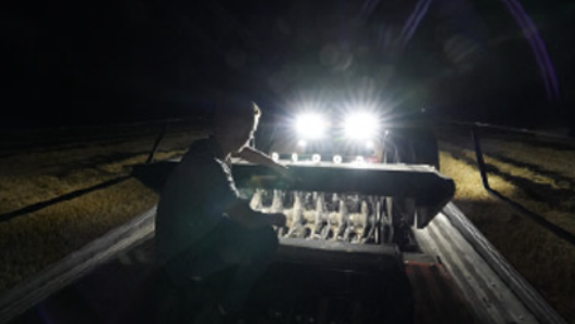 Picture feature7 LB436 HD 2