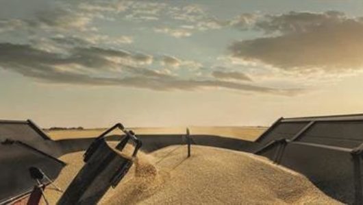 Feature feature5 250