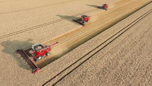 Picture feature9 250