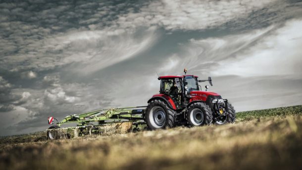 Dscf7674 11 2636 1481