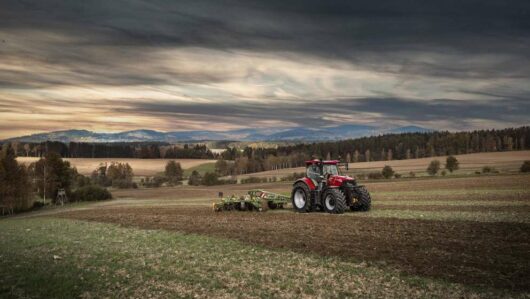 Dscf0524 1 2912 2184 resize